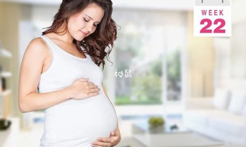 安培奶粉确保营养奶粉网 | 安培奶粉多少钱一罐,安培奶粉多少钱一罐