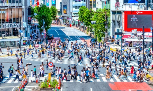 安培奶粉多少钱一罐-安培奶粉确保营养奶粉网 | 安培奶粉多少钱一罐,安培奶粉多少钱一罐