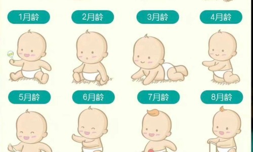 安培奶粉确保营养奶粉安全吗-安培奶粉确保营养奶粉网 | 安培奶粉多少钱一罐,安培奶粉多少钱一罐